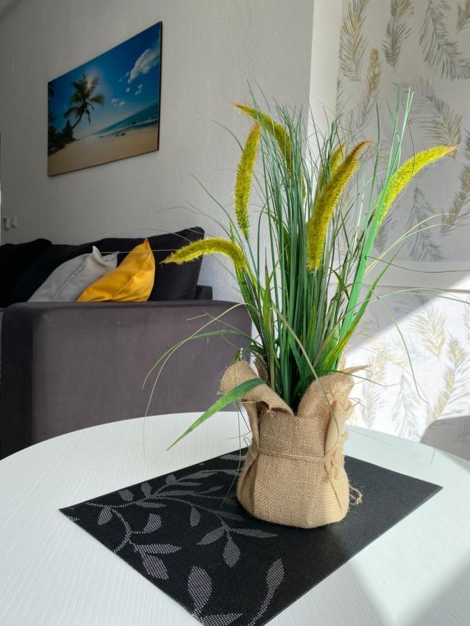 Apartament Sunshine *